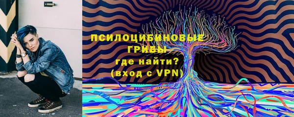 шишки Белоозёрский